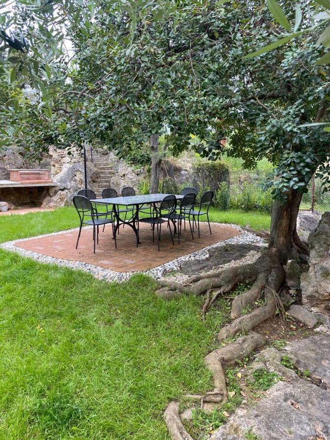 Villa Paolina Ceriale - App. 6 Posti Exterior photo
